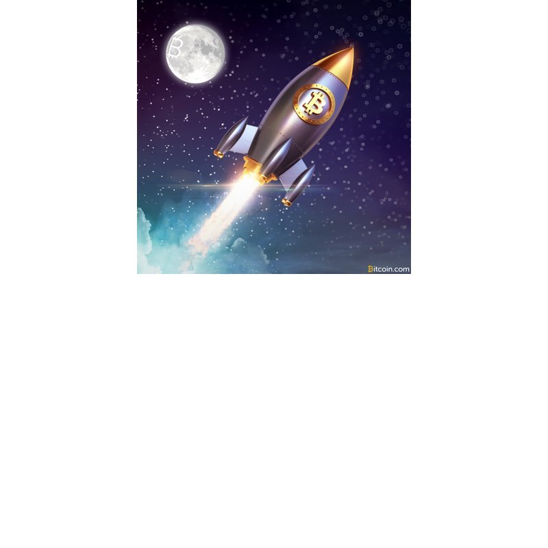 Saminoles2000's profile picture. 