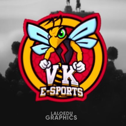 Equipo competitivo de Fortnite 🐝representando a @Vk_eSports_ 🔥⚔️