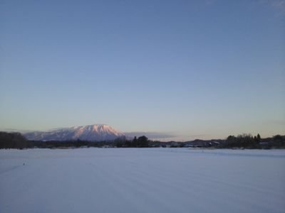 岩手県雫石町にいます
緑化木販売してます