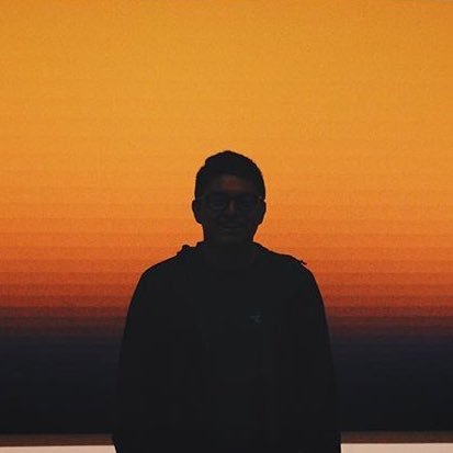 vlkwlf's profile picture. irrelevant