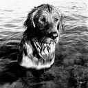 Debra Marlin - @yellowdogbooks - Twitter