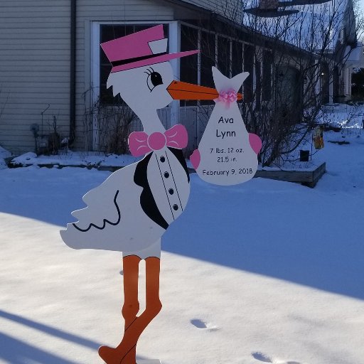 Titletown Storks provides a unique way to announce the birth of a new baby with an adorable Stork yard sign rental.