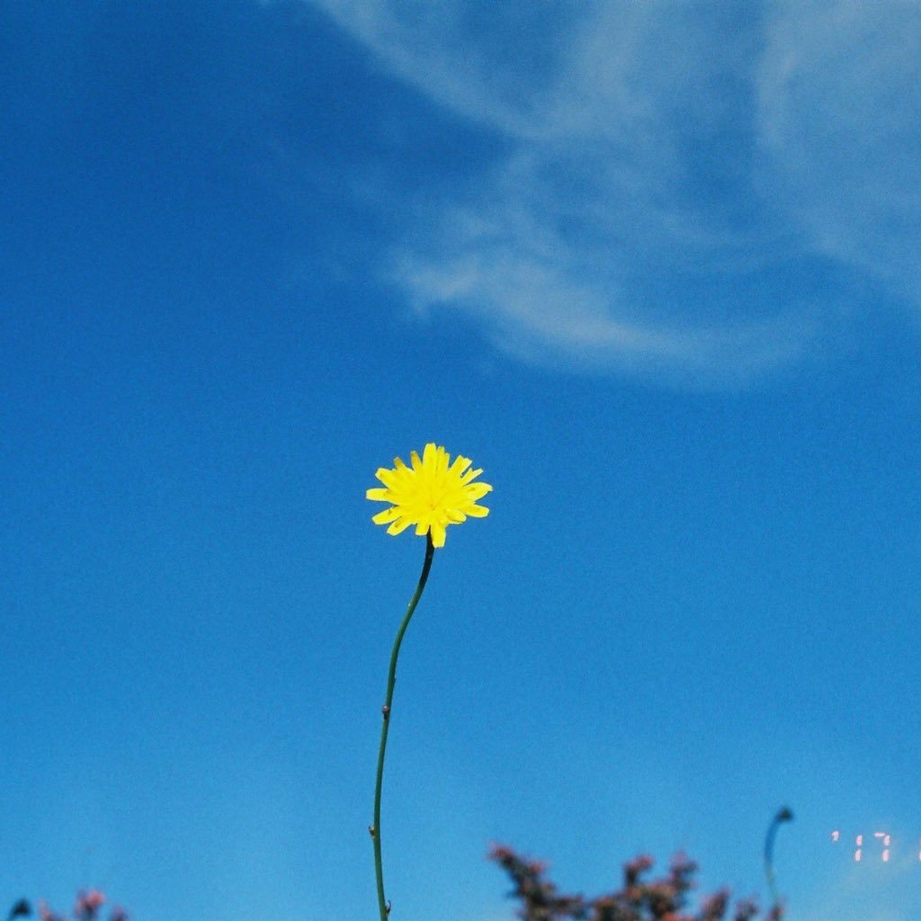 txc888_'s profile picture. 文具・美容・音楽