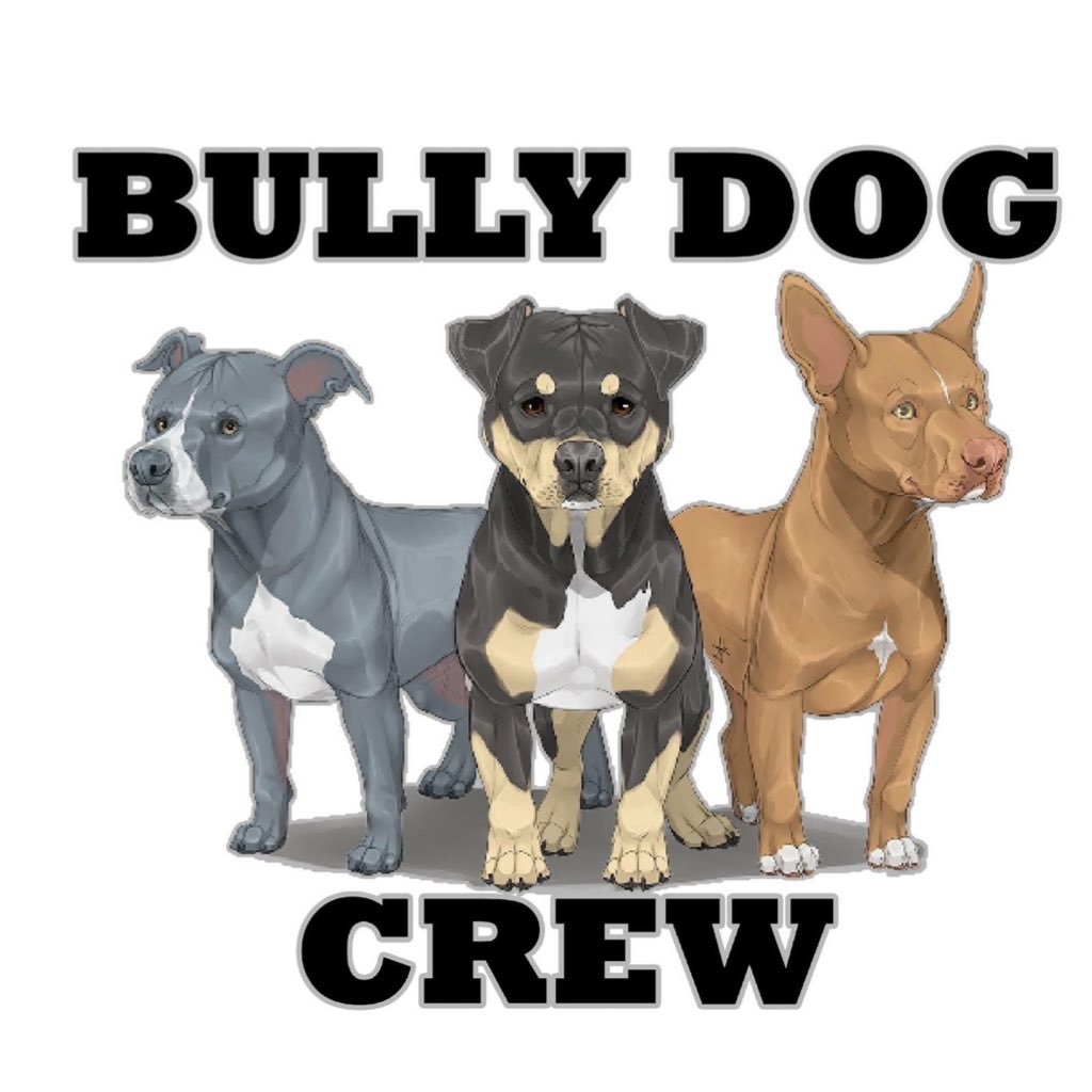 bullydogcrew's profile picture. 