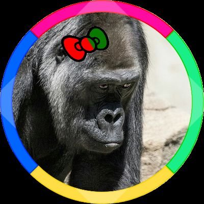 ゴリラさんのプロフィール画像