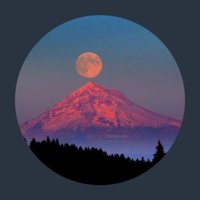 Just Me Twilight Us (@twilightus) 's Twitter Profile Photo