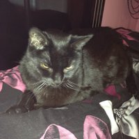 Annette Phillips (@annette30378960) 's Twitter Profile Photo Annette Phillips (@annette30378960) 's Twitter Profile Photo