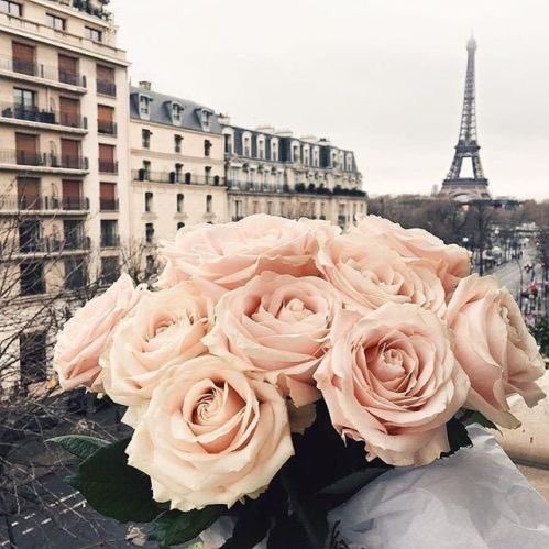 ChloeIsabellaVP's profile picture. Pop Music