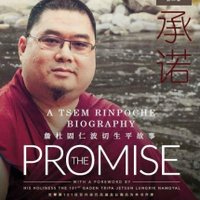 The Promise (@thepromisebio) 's Twitter Profile