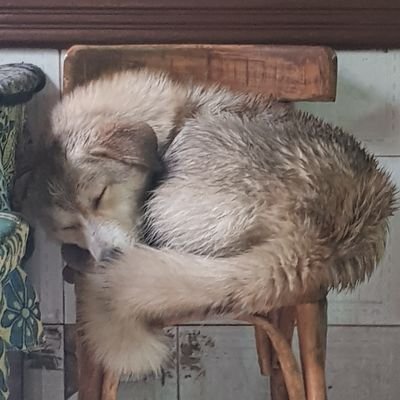 ZezaWhoops's profile picture. Rage and Bold and more x)
pharoah
phsyco