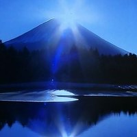 ゴン太 (@niejerc91pi5seo) Twitter profile photo