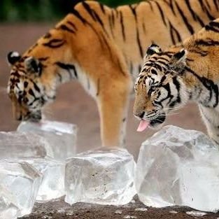 MakeitmaX's profile picture. 