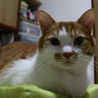 nao (@nao04304659) Twitter profile photo