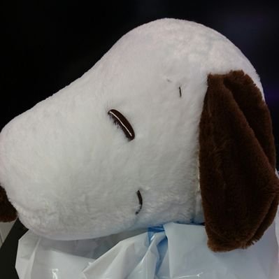 エイジ スヌーピーおじさん P8s391mmmhks9wh Twitter エイジ スヌーピーおじさん P8s391mmmhks9wh Twitter