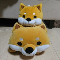わった(新) (@watta_new) 's Twitter Profile