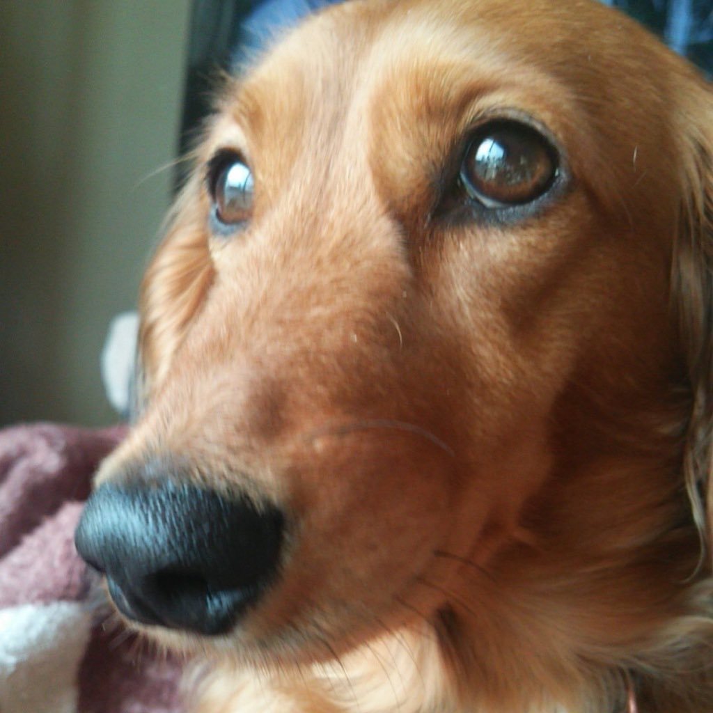 eWDFiC0PCAA7exJ's profile picture. REDSPIDER、HISATOMI、APOLLO、BES、RISKY DICE、KENTY GROSS、KIRA好きです！！ライブは色んなとこ行ってます(^^)/