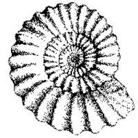 Bath Geological Society (@bath_geology) 's Twitter Profile