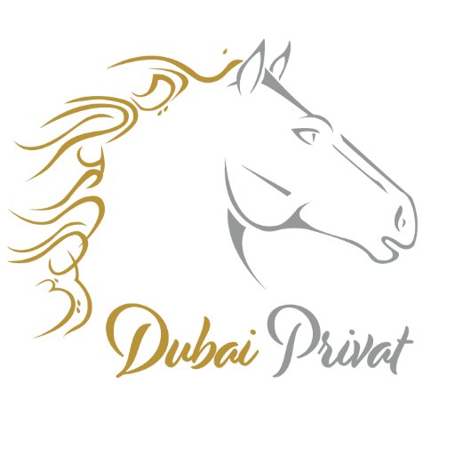 DubaiPrivat's profile picture. Dubai, Abu Dhabi, Ras al Khaimah und Oman! Erleben und geniessen Sie die facettenreiche Welt der Emirate wie im Maerchen aus 1001 er Nacht