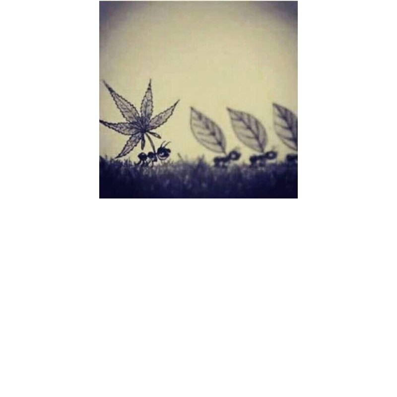 uHnhCSFp1VC9oOD's profile picture. 