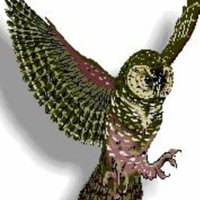 Ooltewah Middle Owls (@ooltewahms) 's Twitter Profile