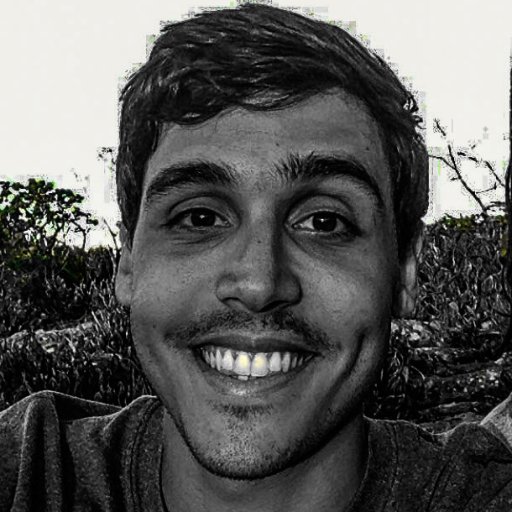 'Me diga sinceramente uma coisa, Mr. Buster:
(...) O Sr. sabe lá o que é ter uma jabuticabeira no quintal?
O Sr. sabe lá o que é torcer pelo Botafogo?'