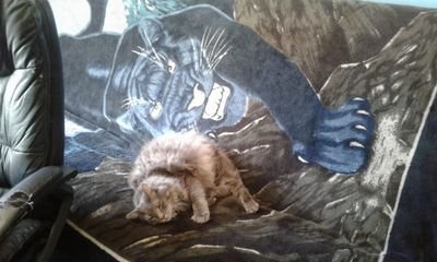 tiffanypayton6's profile picture. Im just ME