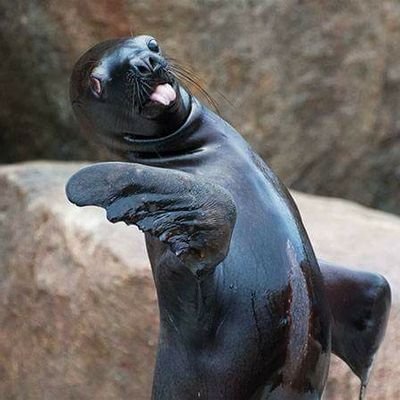 Gods_N_Titans's profile picture. Severe allergic reaction to Bullshit.

You will not like me for I speak the truth