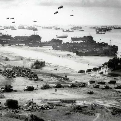 RolfCien's profile picture. 