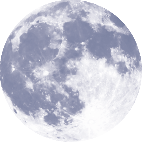 LunarCapital's profile picture. We invest in Your future