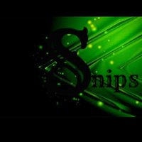 Snippy (@snippyfps) 's Twitter Profile