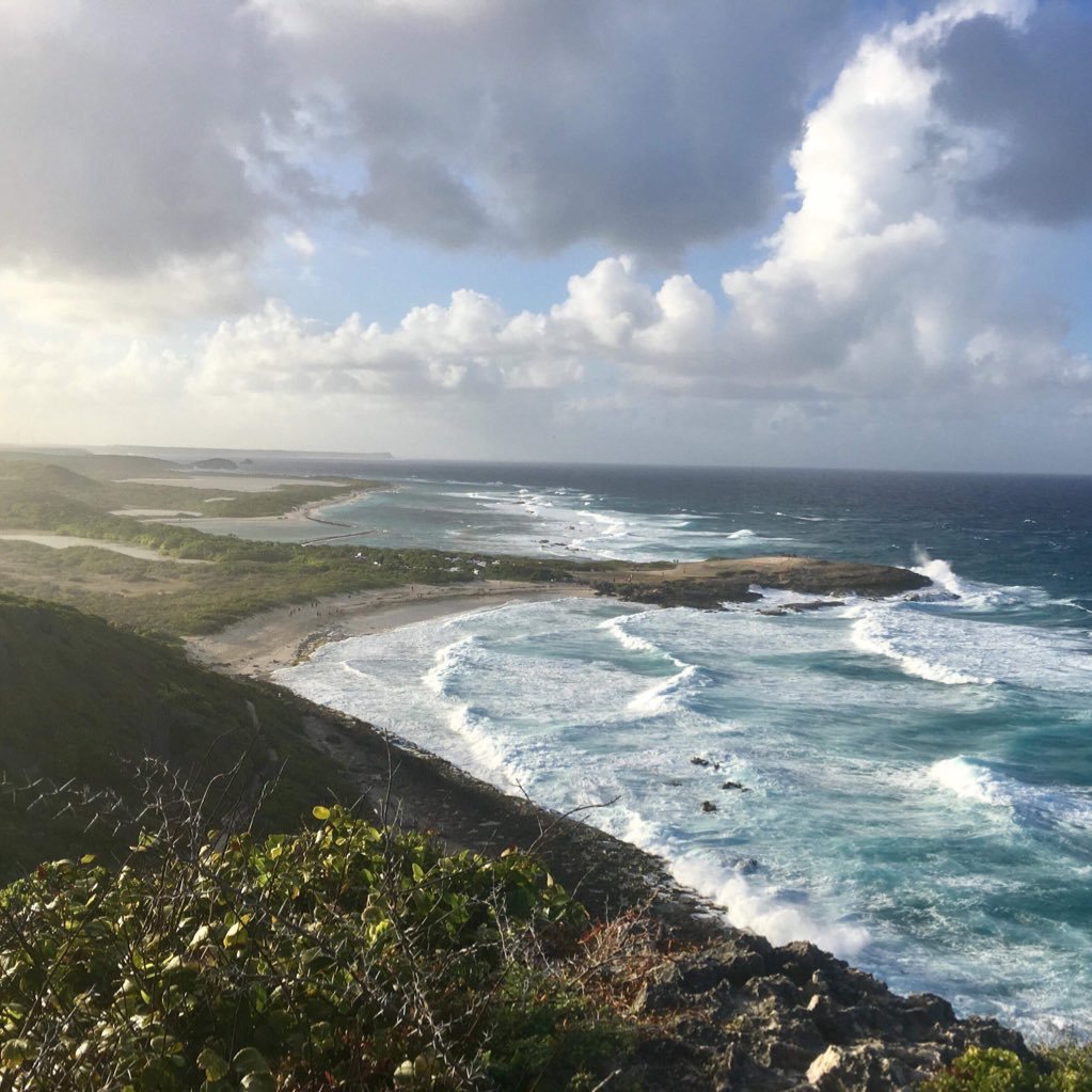 SophiePeschier's profile picture. 