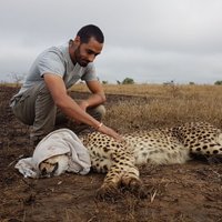 Goncalo Curveira-Santos (@gcurveirasantos) 's Twitter Profile
