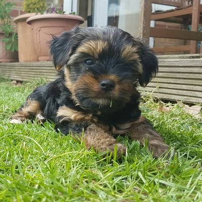 christilarsen's profile picture. 