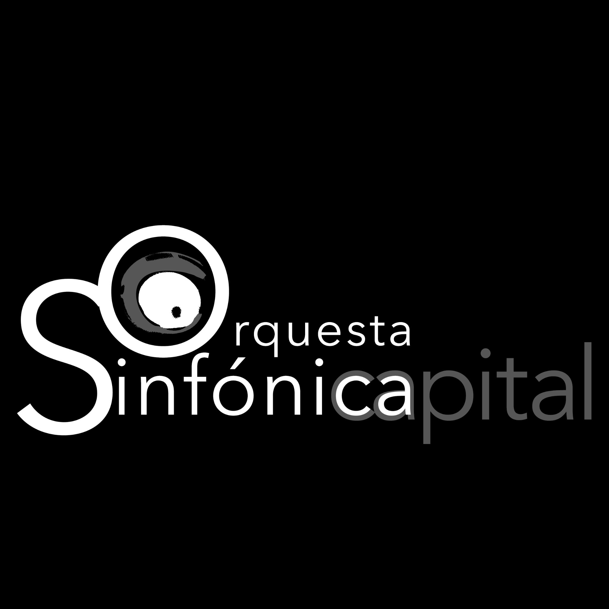 La Orquesta está conformada por músicos profesionales y estudiantes de alto nivel, busca fortalecer el potencial musical de la ciudad.