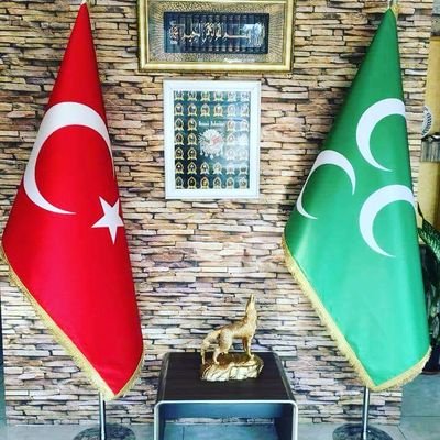 EfeCimec's profile picture. 