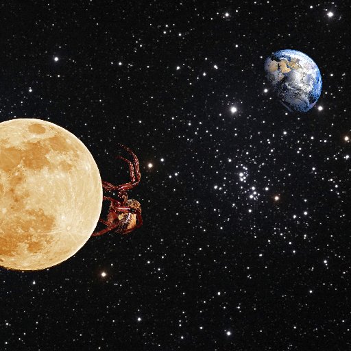 RayQRZhang's profile picture. 