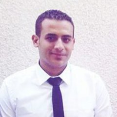 Senior Full Stack .NET Developer