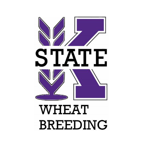 Public wheat breeding program focused on developing elite cultivars for producers in Kansas and the Great Plains