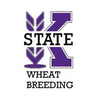 KSU Wheat Breeding (@kswheatbreeding) 's Twitter Profile
