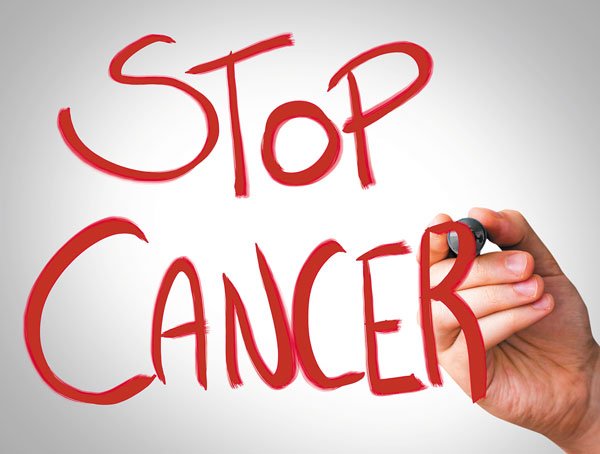 Lyme Disease and Medical Treatment Fundraiser