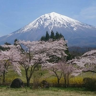 aknar0's profile picture. 