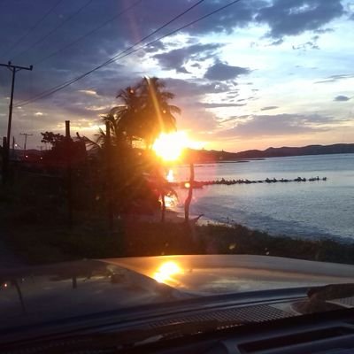 tiburonjoven22's profile picture. 