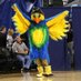 Pepper The Parrot (@parrot_pepper) Twitter profile photo Pepper The Parrot (@parrot_pepper) Twitter profile photo