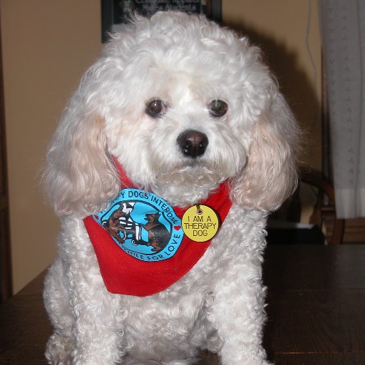 PS31TeacherTalk's profile picture. Teaching Professional interested in bringing technology to the classroom