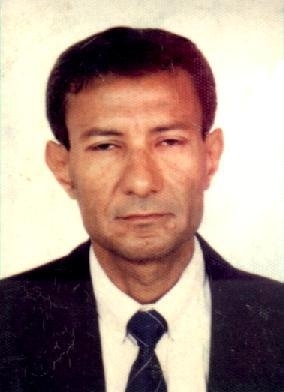 professional geophysicist