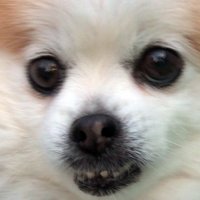 Zack Bissell (@gyu_doh) 's Twitter Profile Photo