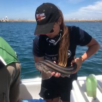 Courtney Harvey (@courtney_sharks) 's Twitter Profile