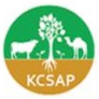 KCSAP Project(@kcsap_project) 's Twitter Profile Photo