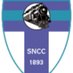 South Nutfield CC (@SouthNutfieldCC) Twitter profile photo