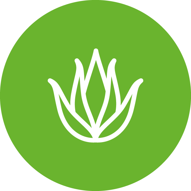 Diktoorh's profile picture. مندوبة  لمنتجات فوريفر ليفينج الاكثر مبيعا
أخصائية تغذيه   تخسيس،  تسمين، كررش، شد الترهلات ،تساقط الشعر ،والعناية بالبشرة  بأمكاننا التوصيل لكل دول العالم